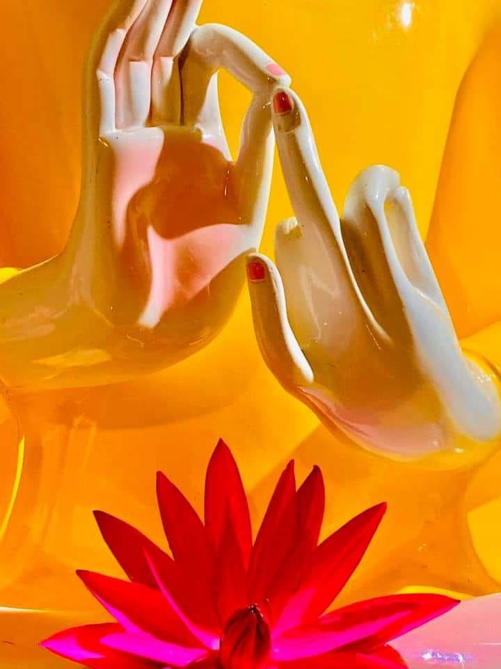 219199709_10220765363748588_306457543024688236_n