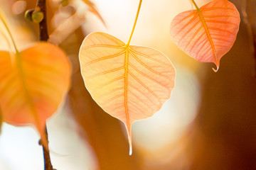 240_f_71817867_wzu20xhybq9ebtpube4mzyk8xqzcs8lp