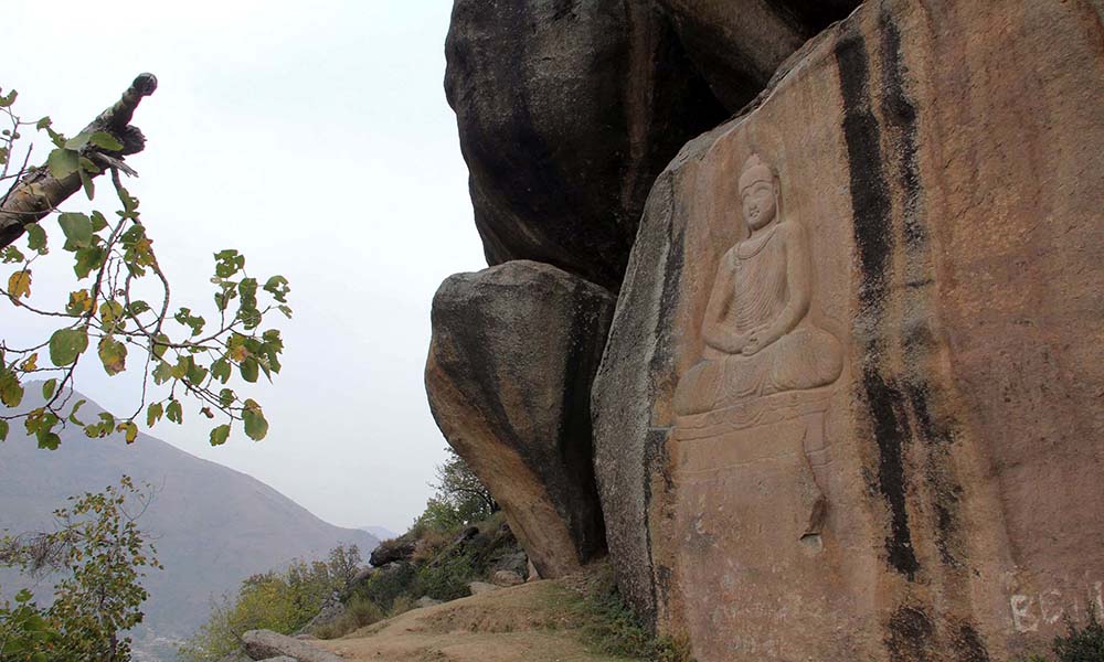 mmezrydrac-1478604943