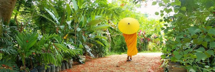 19554977_1544455875604501_1049879076840439788_n