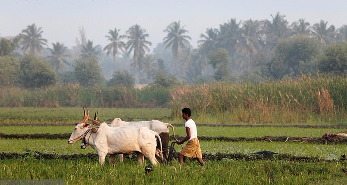 YooniqImages_101582710